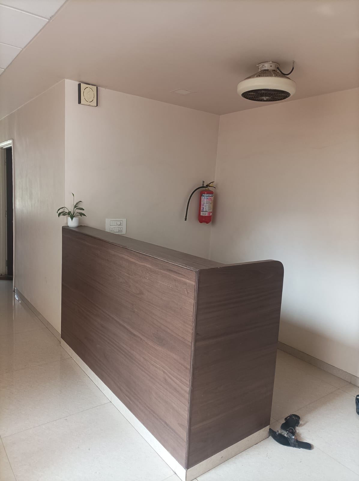 Professional Service Image 6